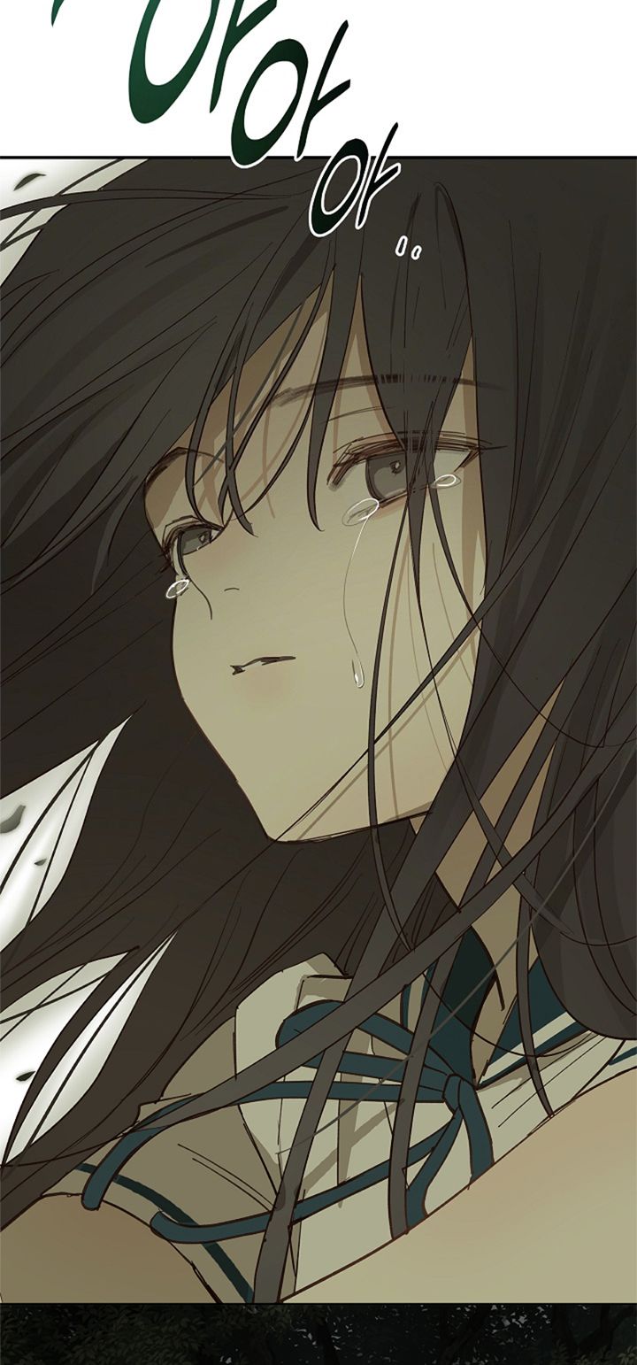 16 Las Flores son un Engaño