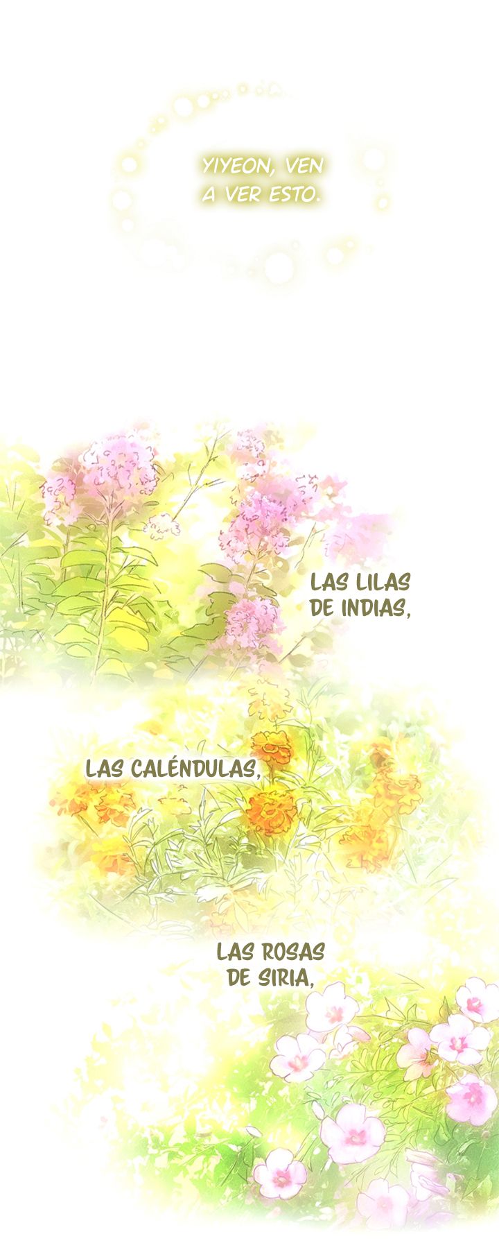 9 Las Flores son un Engaño