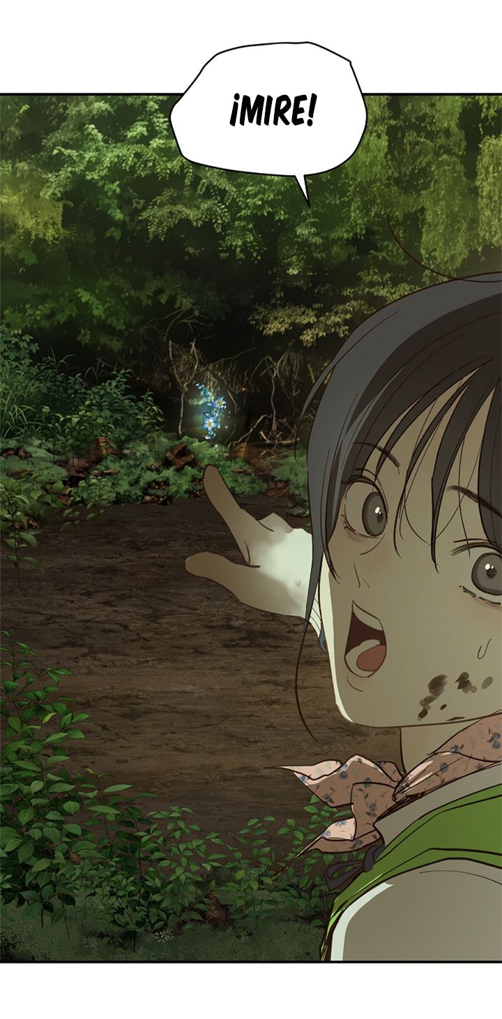 54 Las Flores son un Engaño