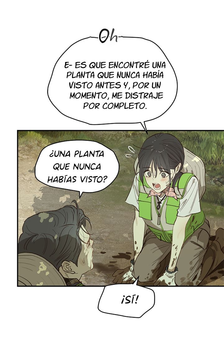 53 Las Flores son un Engaño