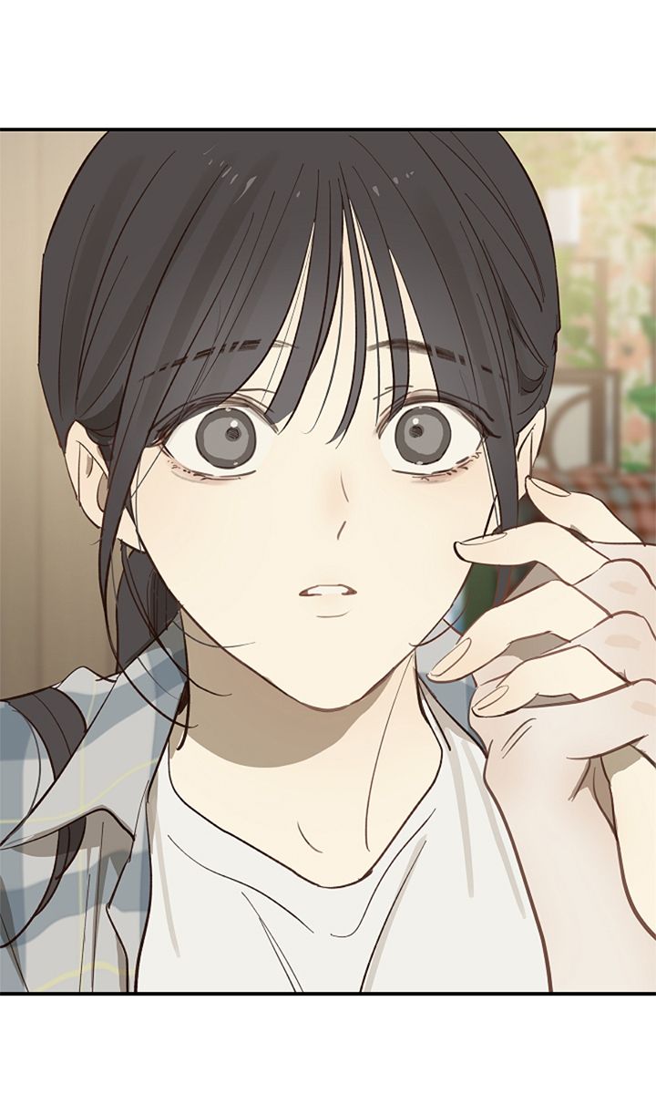 7 Las Flores son un Engaño