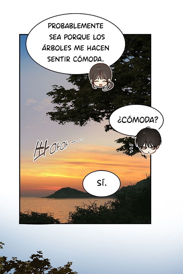 40 Las Flores son un Engaño