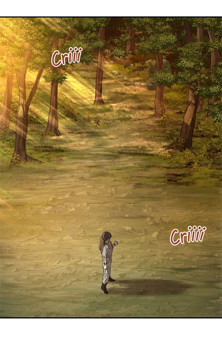 71 Las Flores son un Engaño