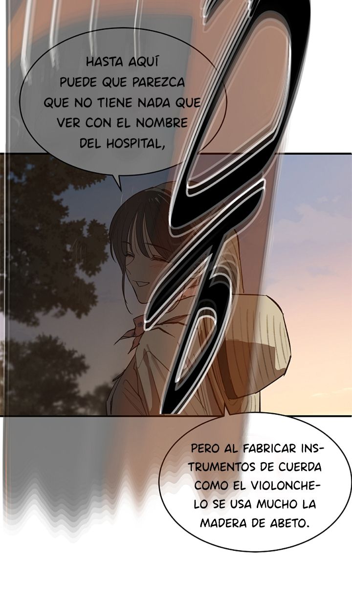 53 Las Flores son un Engaño