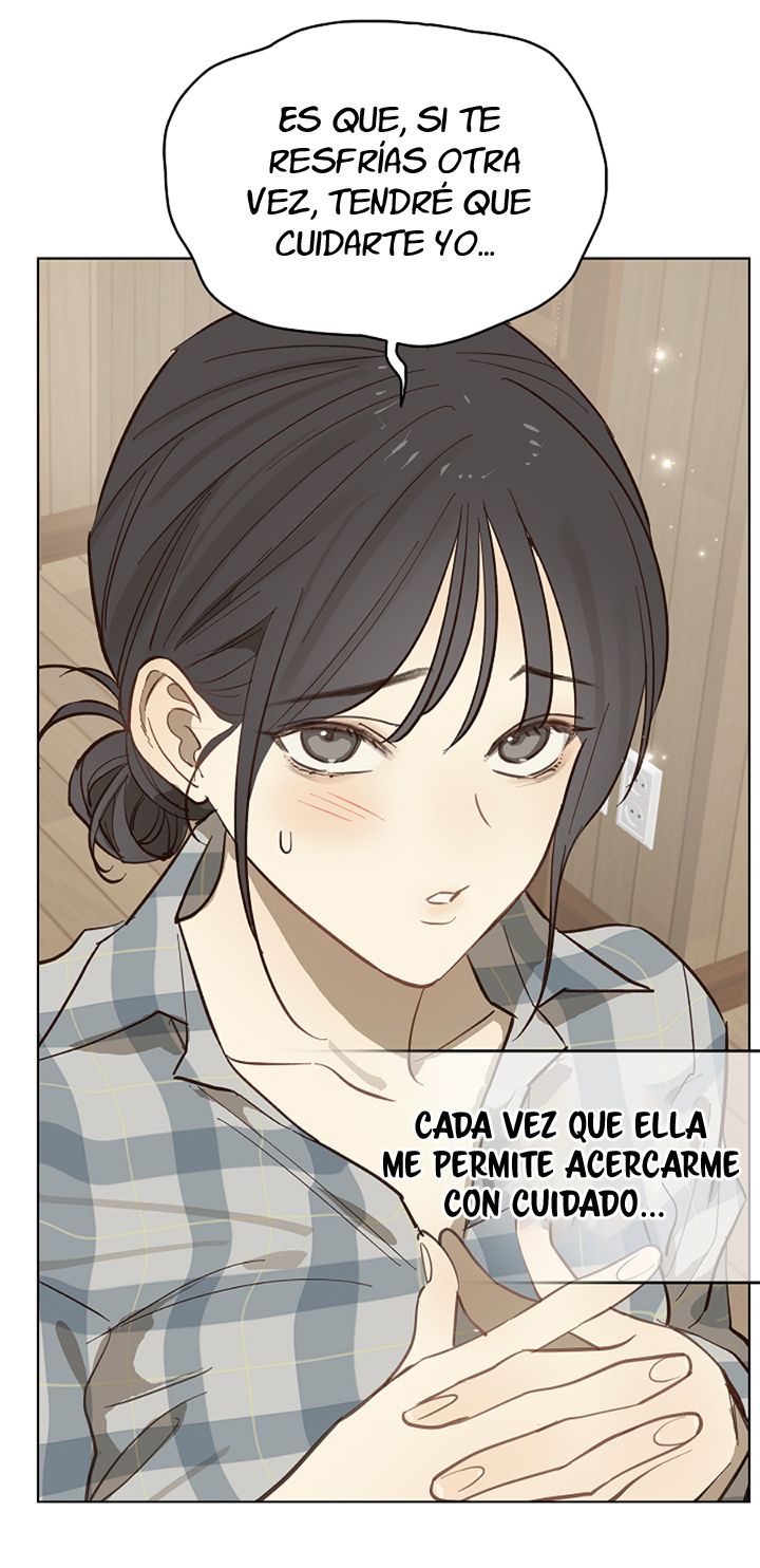 5 Las Flores son un Engaño