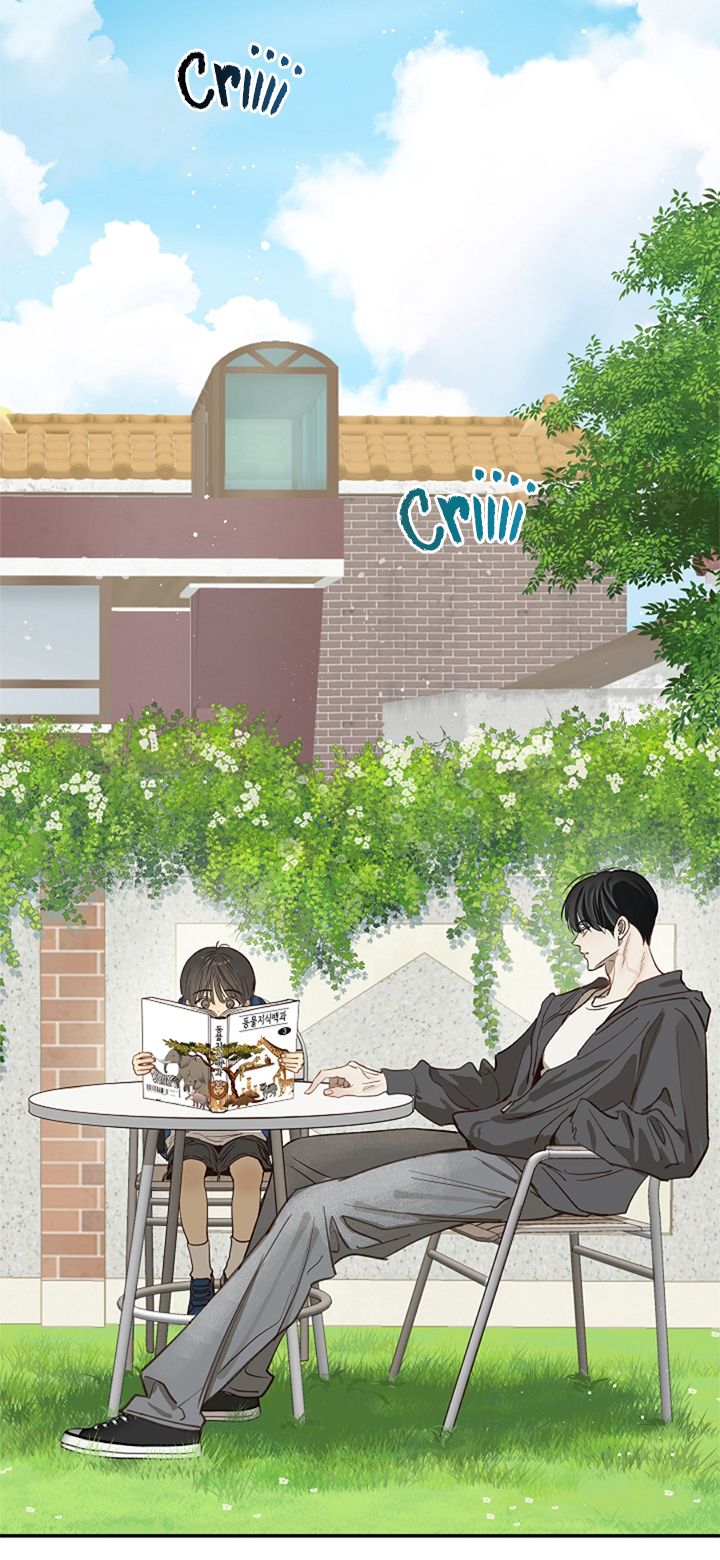 13 Las Flores son un Engaño