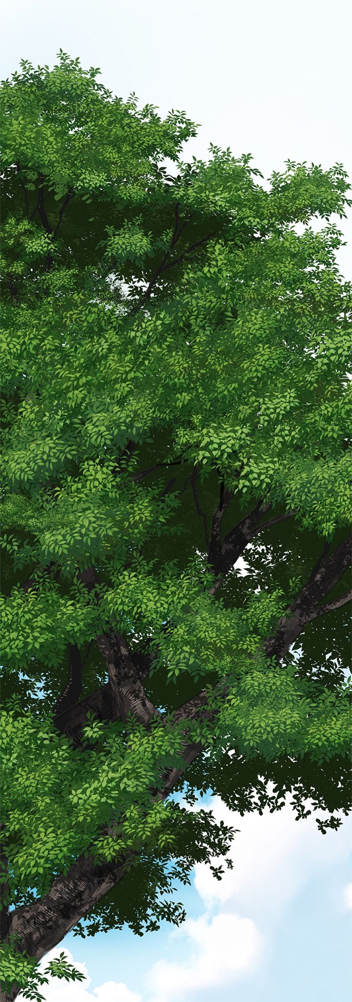 34 Las Flores son un Engaño