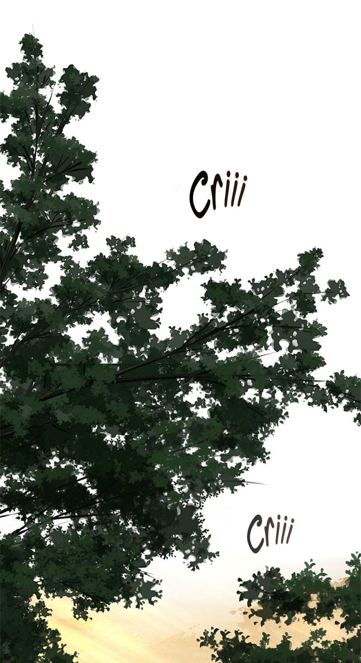 42 Las Flores son un Engaño