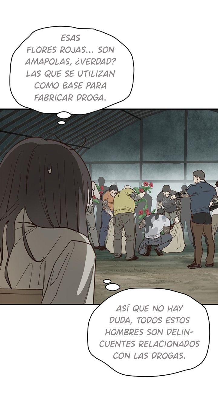 9 Las Flores son un Engaño