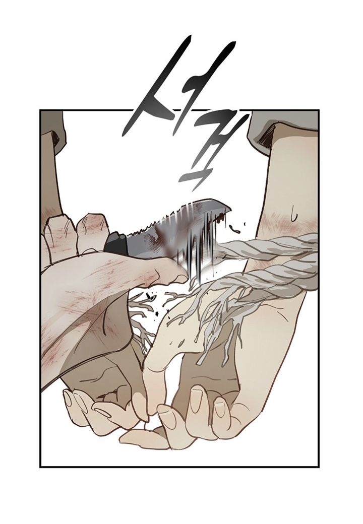 66 Las Flores son un Engaño