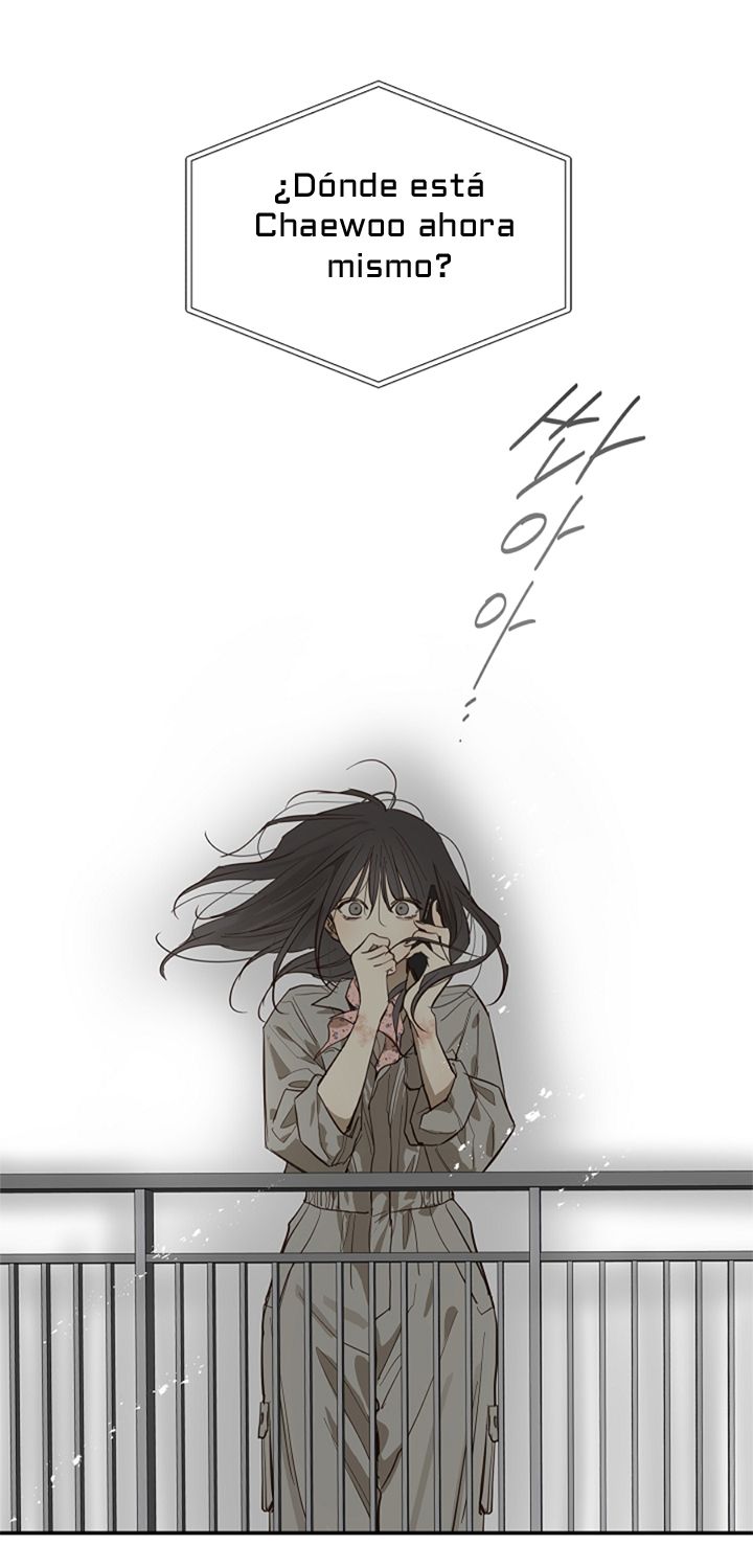 14 Las Flores son un Engaño