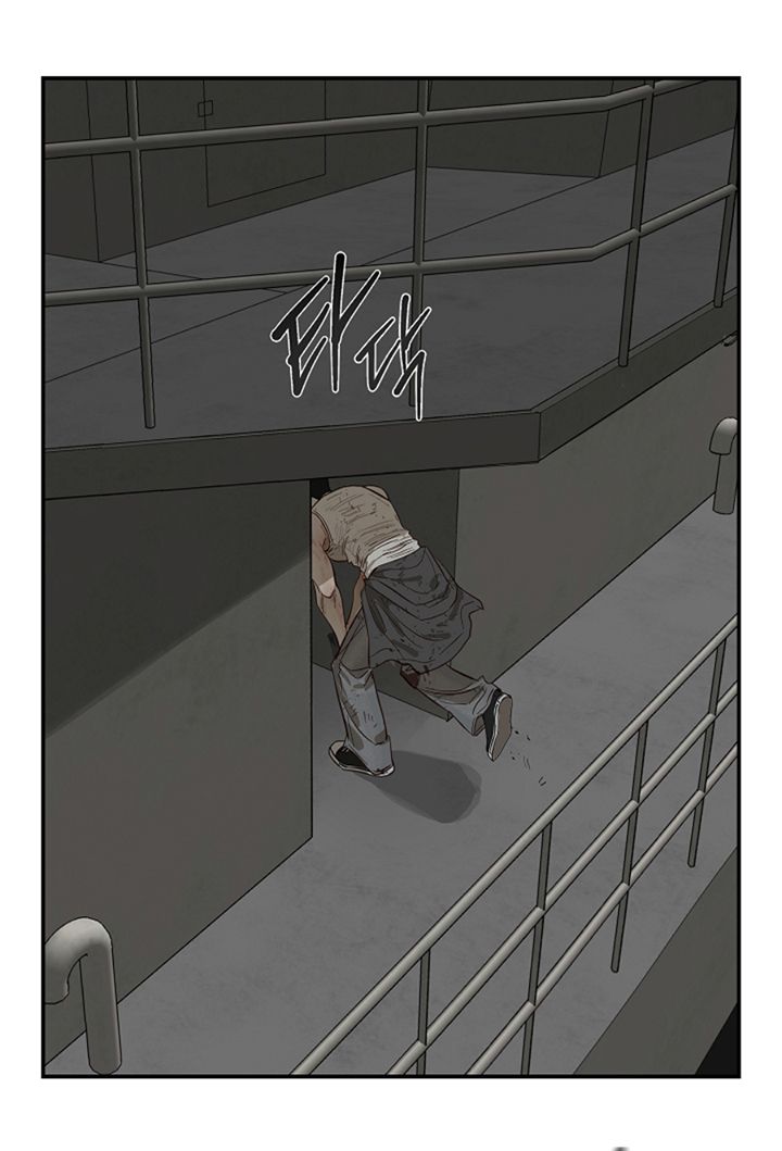 35 Las Flores son un Engaño