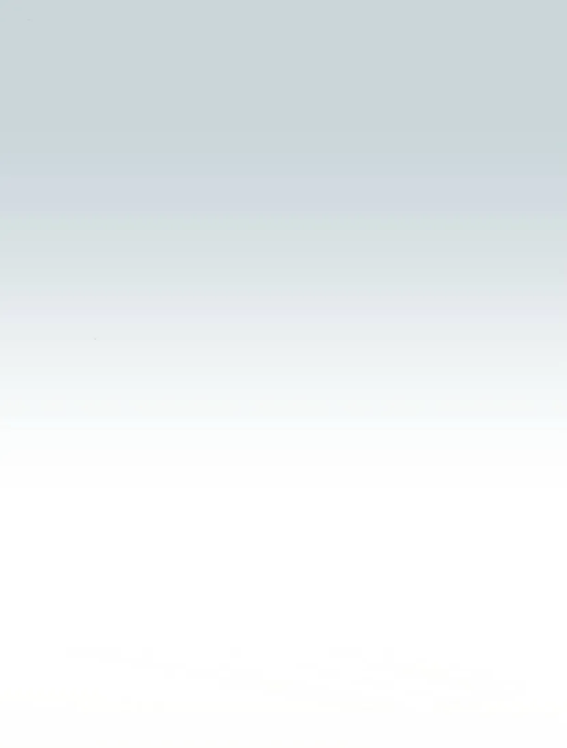 8 El hashtag es: El primer amor.