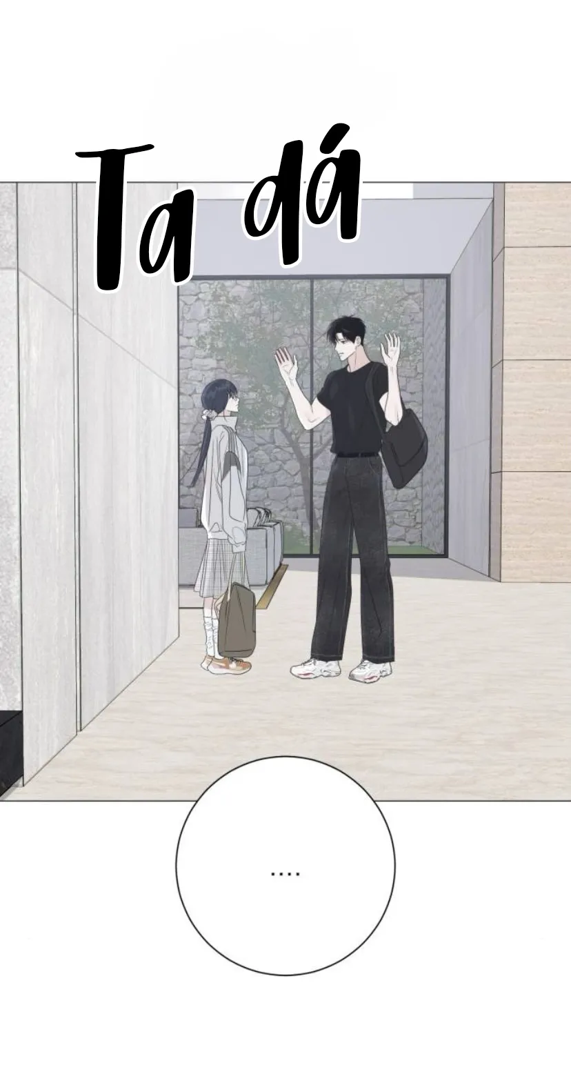 65 El hashtag es: El primer amor.