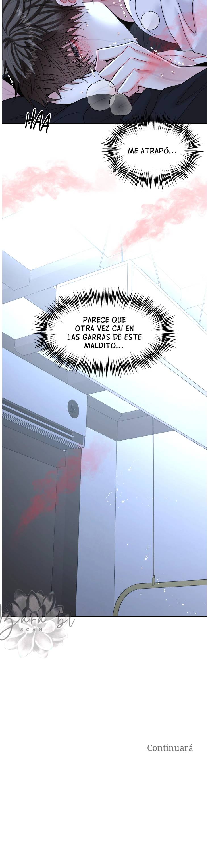 3 ¿Adónde vas, Señor?