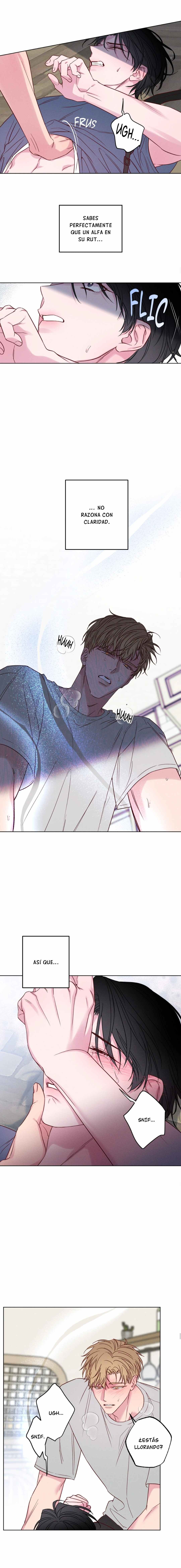 4 Al borde de las olas