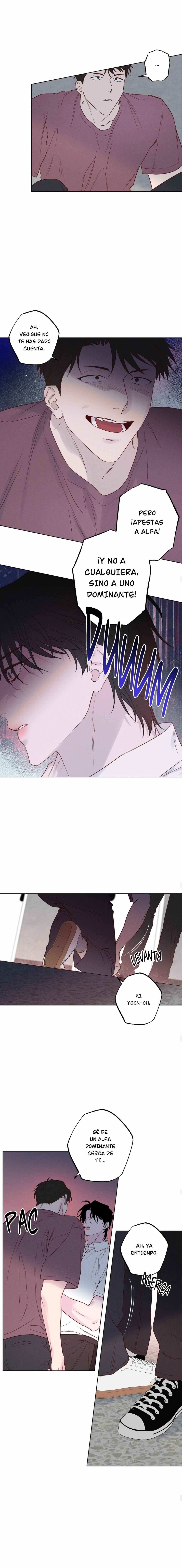 4 Al borde de las olas