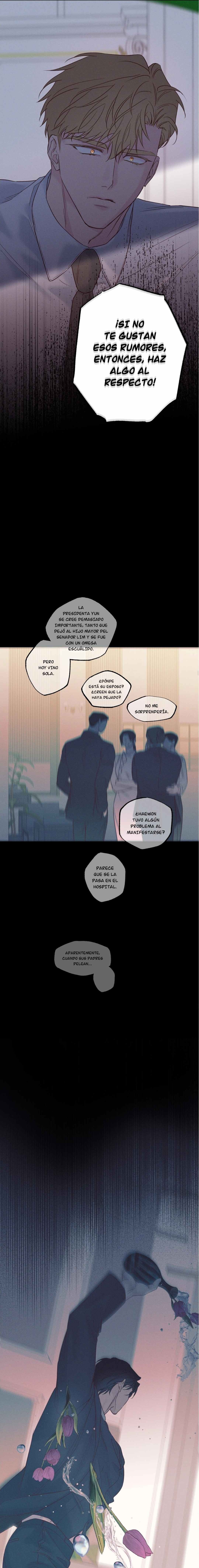 7 Al borde de las olas