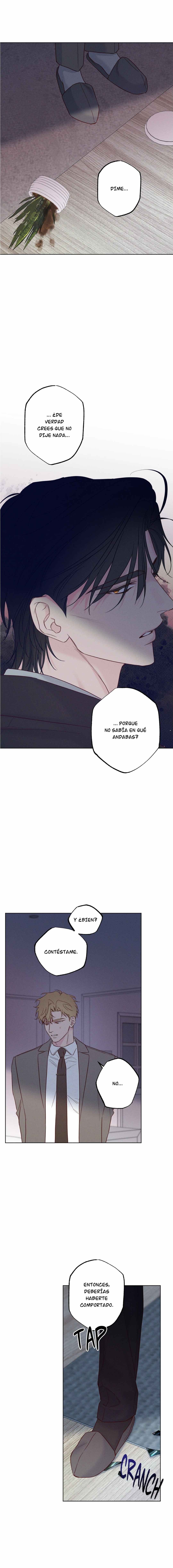 12 Al borde de las olas