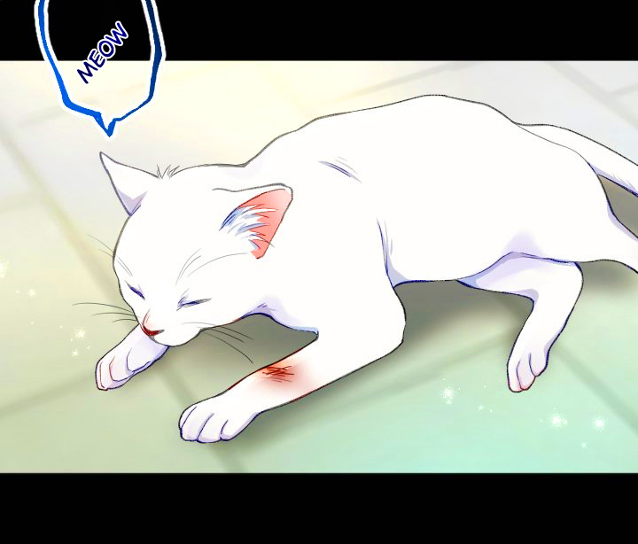 41 La Santa Herida se Convirtio en Villana