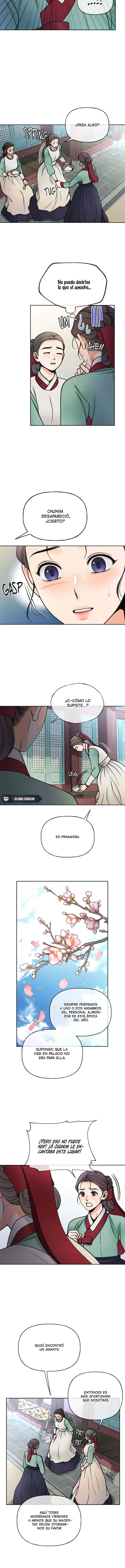 6 Confesiones de una doncella