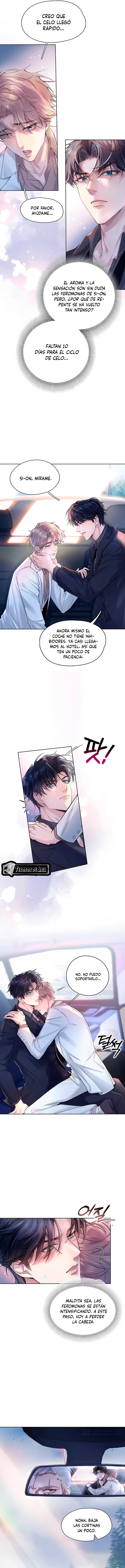 5 El Reflejo de la Traición