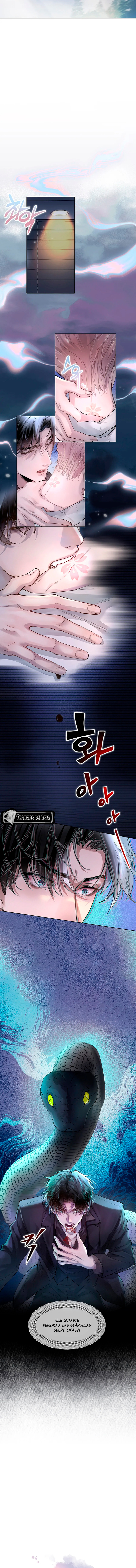 6 El Reflejo de la Traición