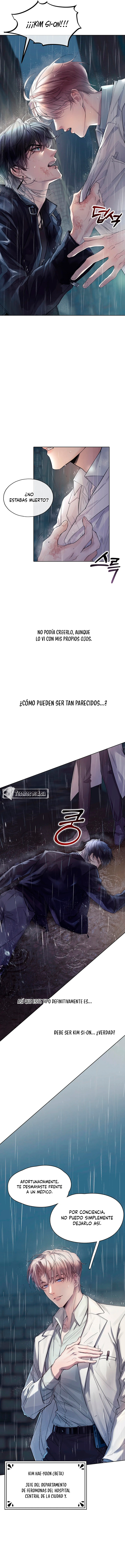 11 El Reflejo de la Traición