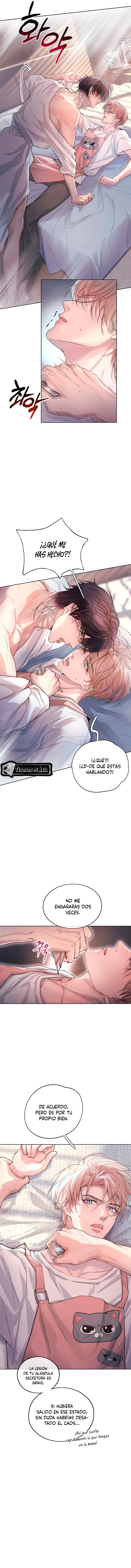 5 El Reflejo de la Traición