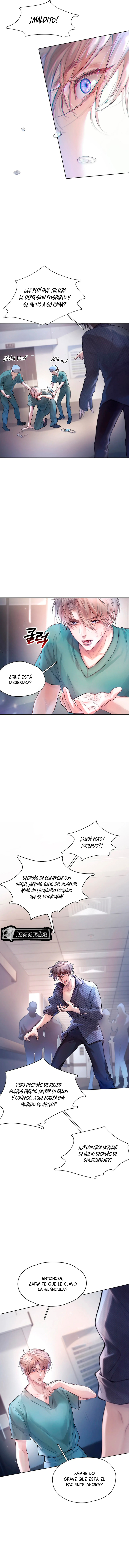 11 El Reflejo de la Traición