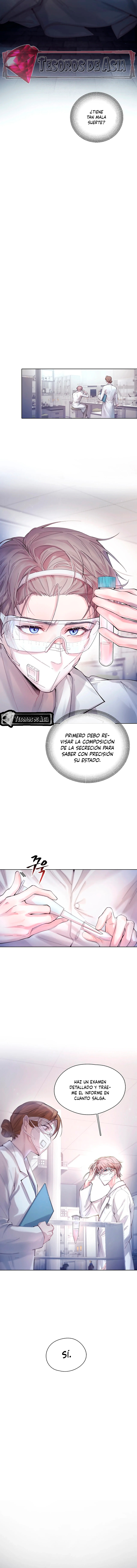 8 El Reflejo de la Traición