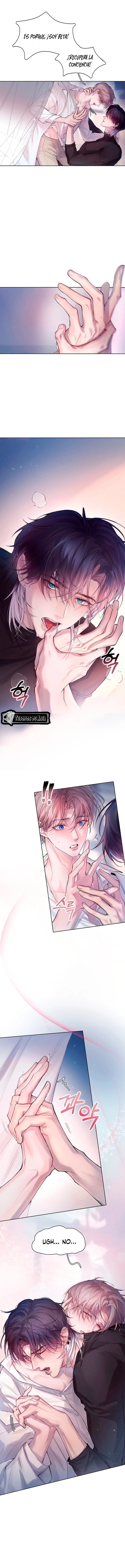 11 El Reflejo de la Traición