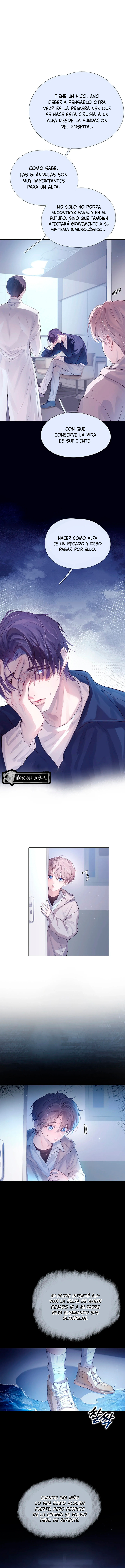 7 El Reflejo de la Traición