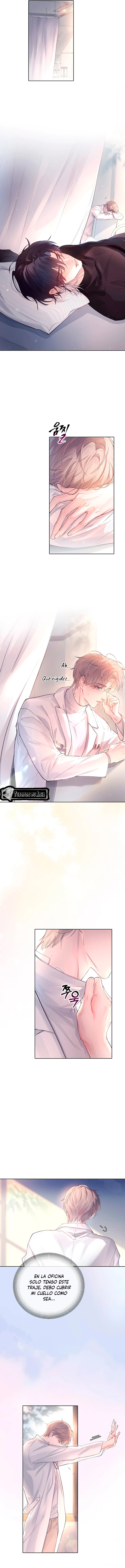 9 El Reflejo de la Traición