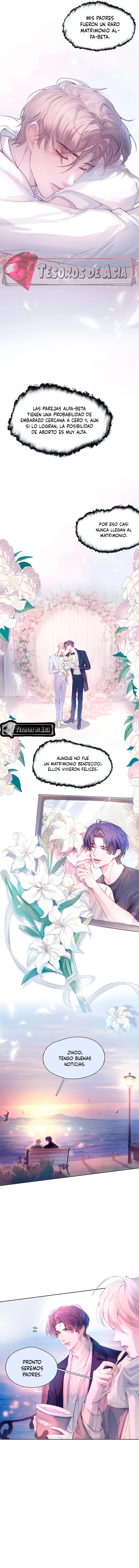 4 El Reflejo de la Traición