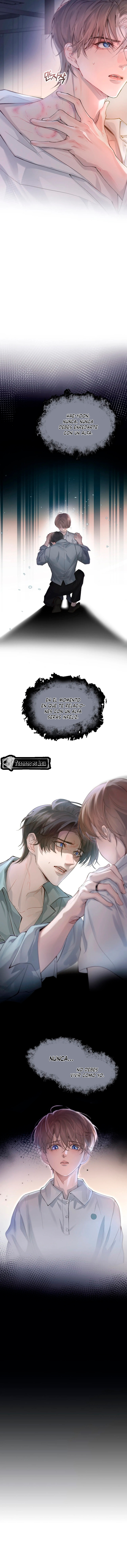 3 El Reflejo de la Traición