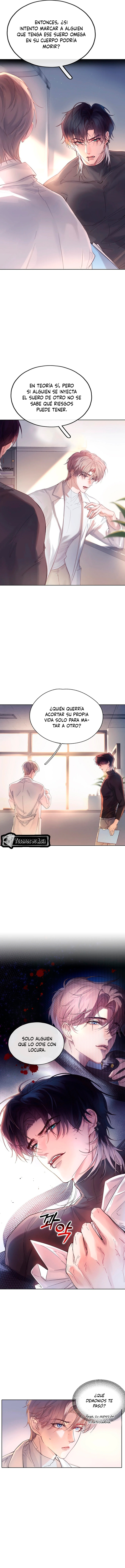 6 El Reflejo de la Traición