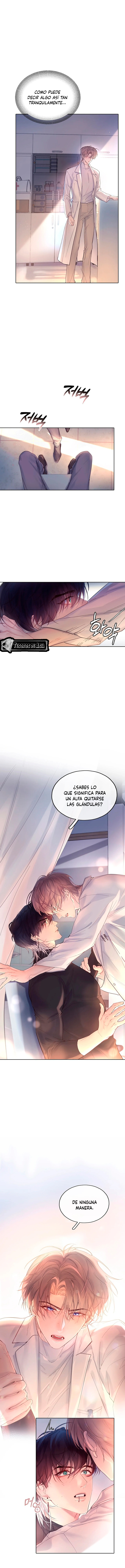 9 El Reflejo de la Traición