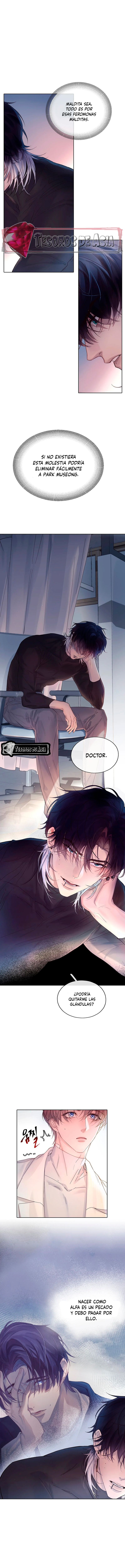 8 El Reflejo de la Traición