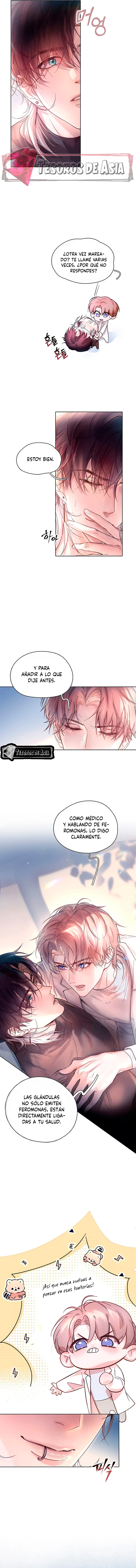 4 El Reflejo de la Traición