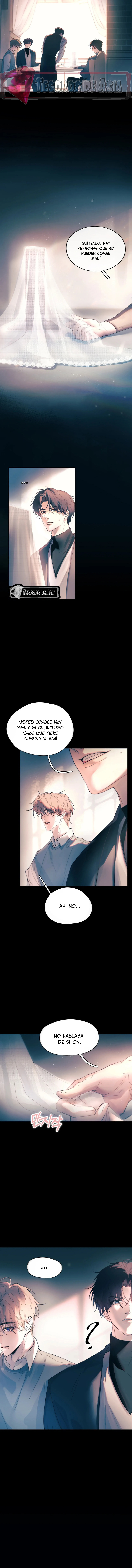 4 El Reflejo de la Traición