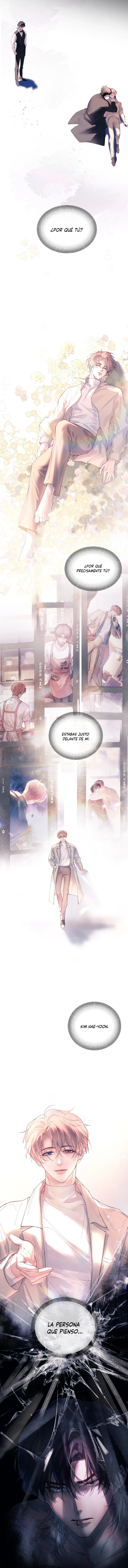 6 El Reflejo de la Traición