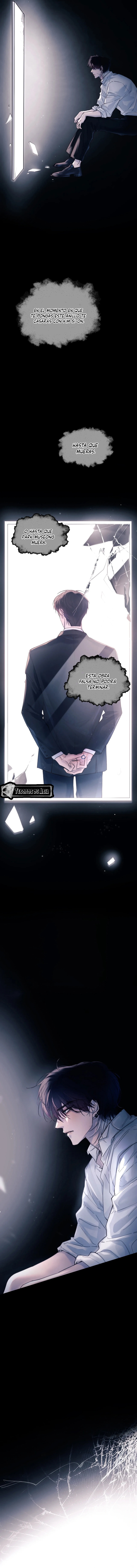 11 El Reflejo de la Traición