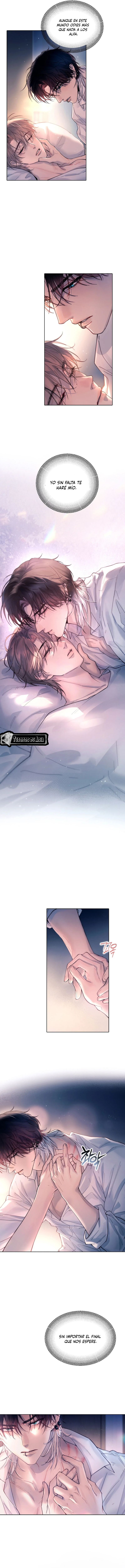 6 El Reflejo de la Traición