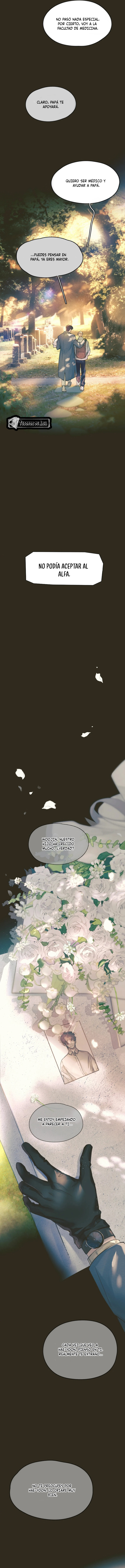 5 El Reflejo de la Traición