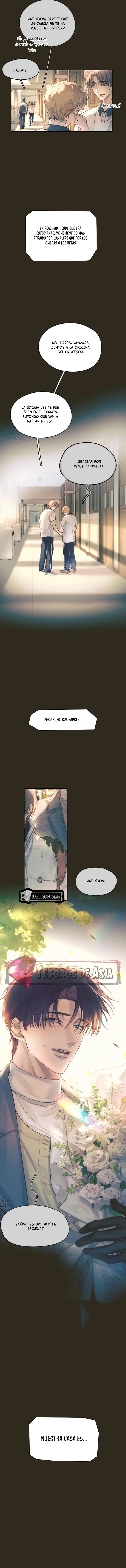 4 El Reflejo de la Traición