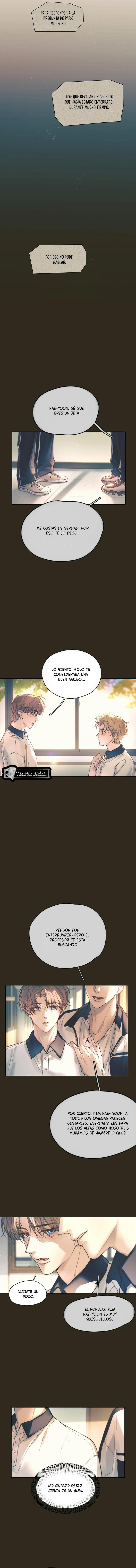 3 El Reflejo de la Traición