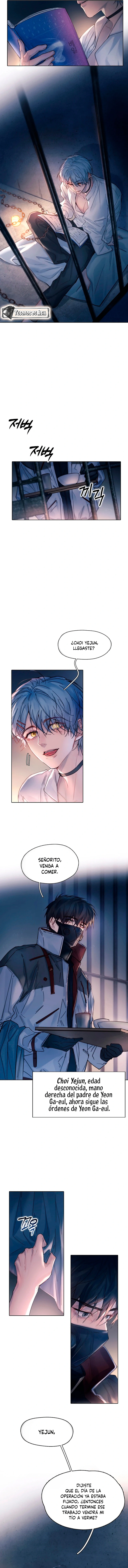 5 El Reflejo de la Traición