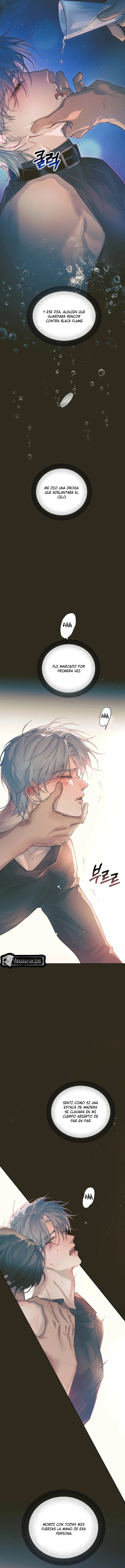 6 El Reflejo de la Traición