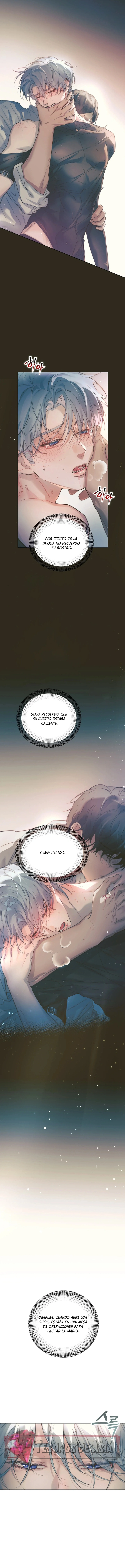 7 El Reflejo de la Traición